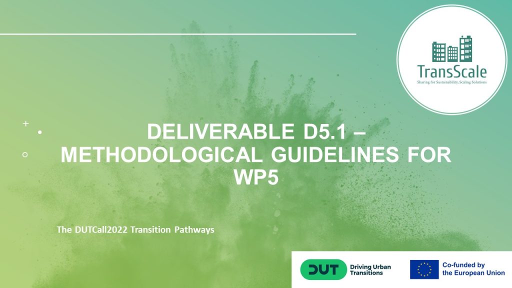 Deliverable D5.1 – Methodological Guidelines for WP5
